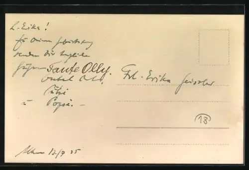 Foto-AK Zwei Terrier mit Halsbändern in einem Garten, 1935