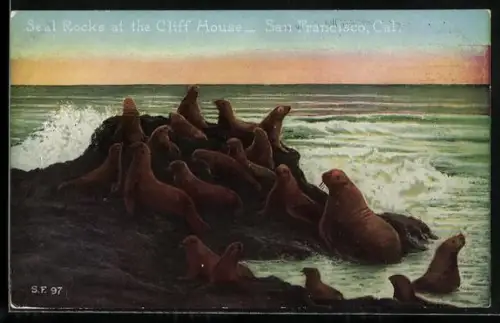 AK San Francisco, CA, Seal Rocks at the Cliff House
