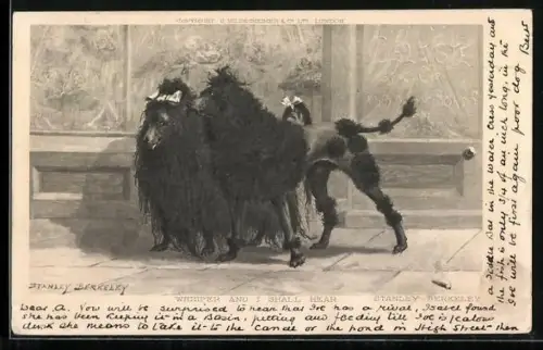 AK Whisper and I Shall Hear, Zwei extravagant frisierte Pudel