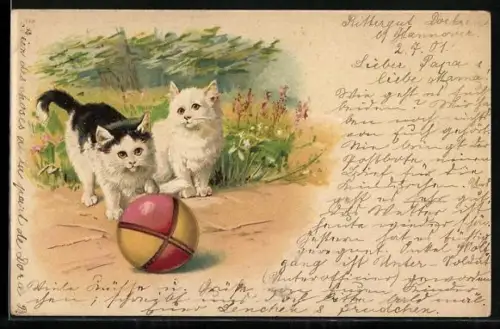 Lithographie Zwei junge Katzen und ein bunter Ball im Grünen