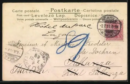 Lithographie Zwei junge Katzen und ein bunter Ball im Grünen