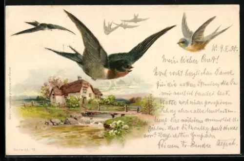 AK fliegende Vögel über einem Haus am Fluss