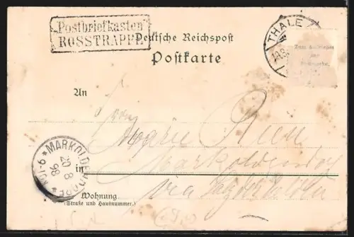 Lithographie Thale, Hotel zur Rosstrappe, Winzenburg, Teufelsbrücke, Wanderer und seine Frau, stürzender Reiter