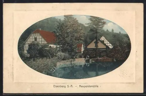 AK Eisenberg /S.-A., Ansicht der Naupoldsmühle