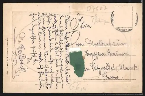 AK Eisenberg /S.-A., Ansicht der Naupoldsmühle