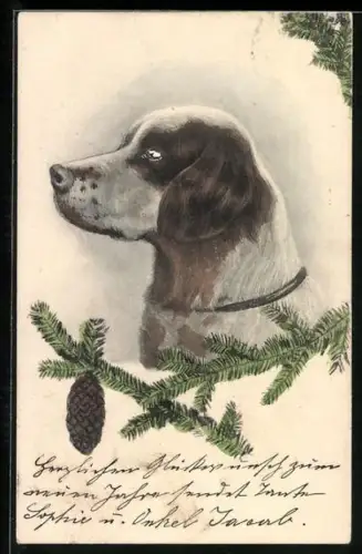 AK Jagdhund und Tannenzweig mit Zapfen