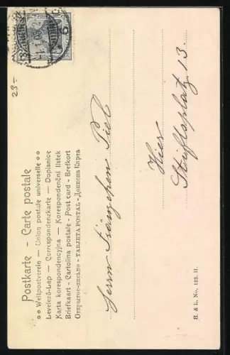 AK Jagdhund und Tannenzweig mit Zapfen