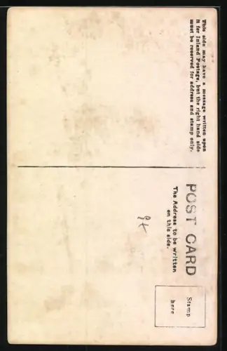 AK Pekinese mit Muff, Portrait