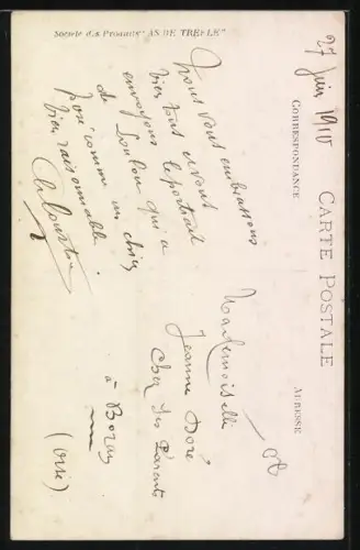 AK Terrier auf einem Stuhl, Portrait