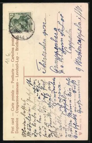 AK Französischer Pudel, langhaarig, Portrait