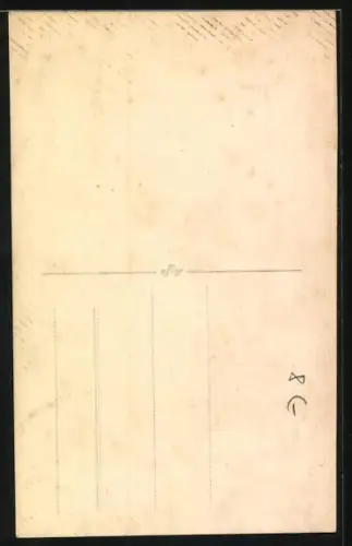 Foto-AK Weisser Spitz mit treuherzigem Blick, Portrait