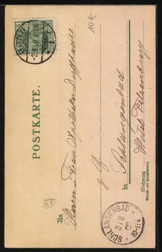 Lithographie Zwei kleine Katzen spielen mit Stechpalmengrün