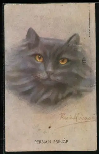 AK Persian Prince, Portrait