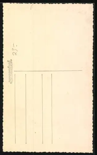 AK Weisser Terrier mit lockigem Fell, Portrait