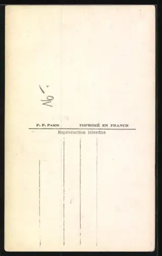 AK Pudel mit heraushängender Zunge, Seitenportrait