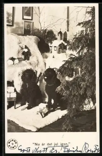 AK Zwei Pudel am Weihnachtsbaum