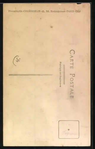 Foto-AK Kleiner Terrier auf einem Sitzmöbel