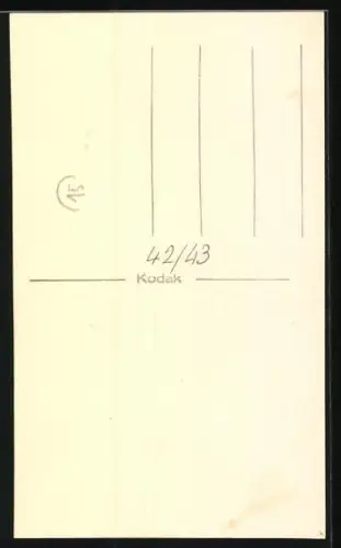 Foto-AK Bellender Terrier mit Halsband, Portrait