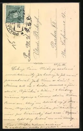 AK Nach oben blickender Terrier mit Halsband, Portrait