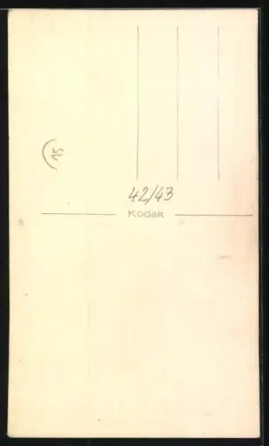 Foto-AK Bellender Terrier mit hängender Zunge