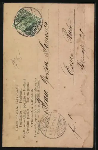 AK Mädchen spielt Geige für den Pudel