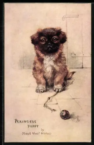 AK Pekinesenwelpe mit Ball, Portrait