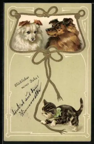 AK Kätzchen und Hunde