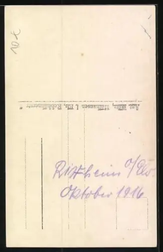 Foto-AK Hund auf einer Obstkiste im Freien, 1916