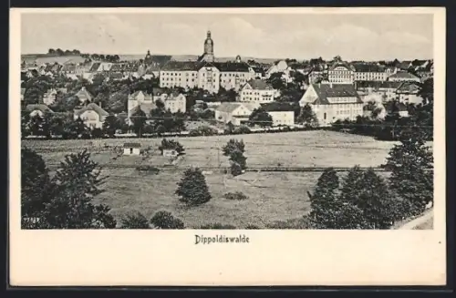 AK Dippoldiswalde, Panorama mit Rathaus