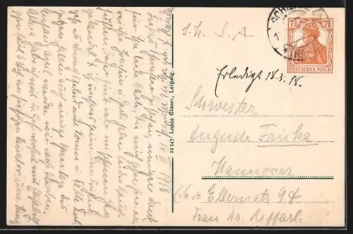 AK Schierke im Harz, Ortsansicht mit Villen und Wald