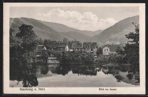 AK Ilsenburg a. Harz, Blick ins Ilsetal