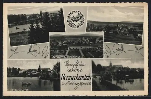 AK Benneckenstein /Hochharz, Kurpark, Gondelteich, Ortsansicht