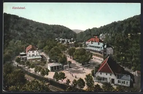 AK Alexisbad, Ortsansicht aus der Vogelschau