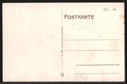 AK Alexisbad, Ortsansicht aus der Vogelschau