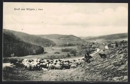 AK Wippra i. Harz, Schäfer mit Herde und Blick auf den Ort