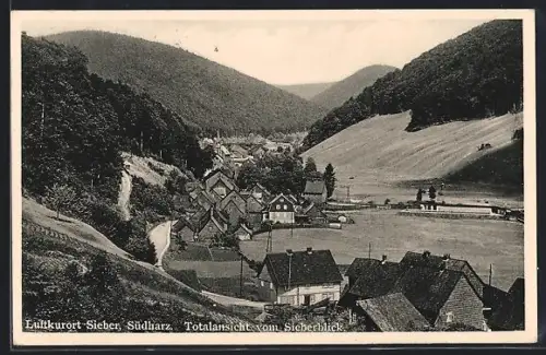 AK Sieber /Südharz, Totalansicht vom Sieberblick