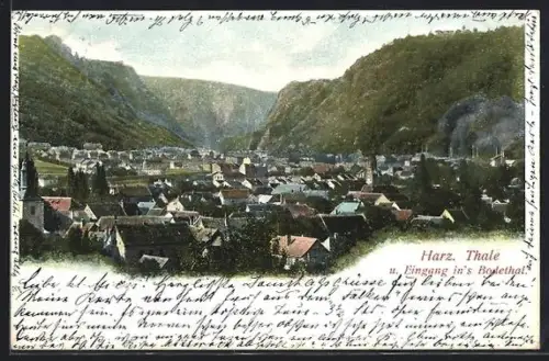 AK Thale /Harz, Ort und Eingang ins Bodethal