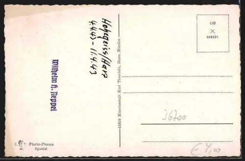 AK Hohegeiss /Oberharz, Totalansicht aus der Vogelschau