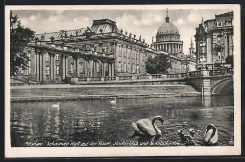 AK Potsdam, Schwanenidyll auf der Havel, Stadtschloss und Nikolaikirche