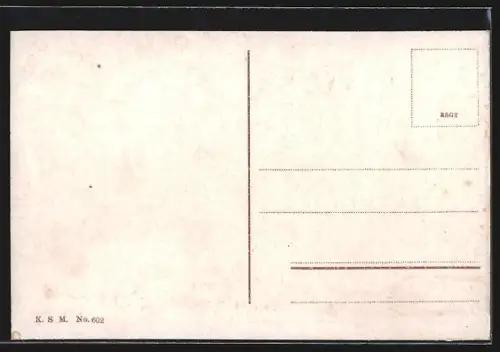 AK Mainz, Rheinanlage mit Personendampfern