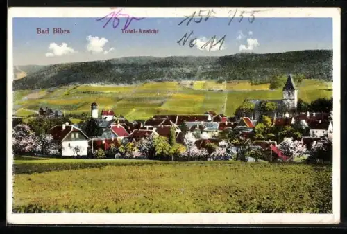 AK Bad Bibra, Totalansicht mit Kirche umd umliegenden Feldern