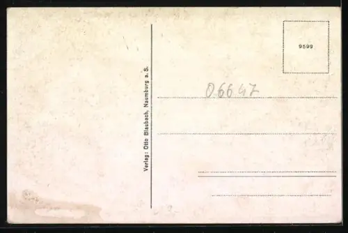 AK Bad Bibra, Totalansicht mit Kirche umd umliegenden Feldern