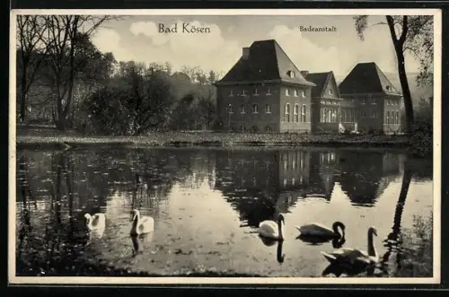 AK Bad Kösen, Badeanstalt, Schwäne