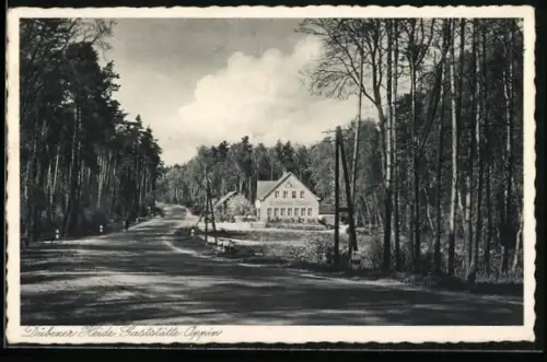 AK Kemberg, an der Gaststätte Oppin in der Dübener Heide