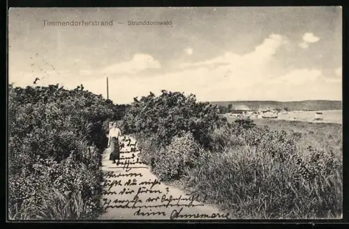 AK Ostseebad Timmendorferstrand, Stranddornwald