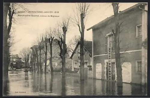 AK Poissy, Blanchisserie Quennet, avenue de Migneaux pendant les inondations de janvier 1910