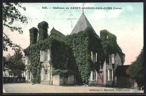 AK Saint-Aignan-des-Gués, Château couvert de lierre dans la région de la Loire