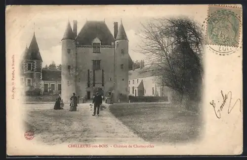 AK Chilleurs-aux-Bois, Château de Chamerolles