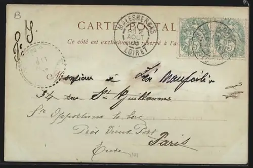 AK Malesherbes /Loiret, Château de Malesherbes et ses jardins verdoyants