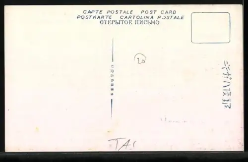 AK Suigenchi Taihoku, Panorama